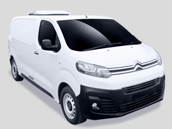 car_c2_gid33_28